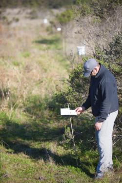 Fig. 2. Trapping on nursery perimeter. Scout checks Jackson trap containing a pheromone bait that specifically attracts and traps male LBAM moths. Pho