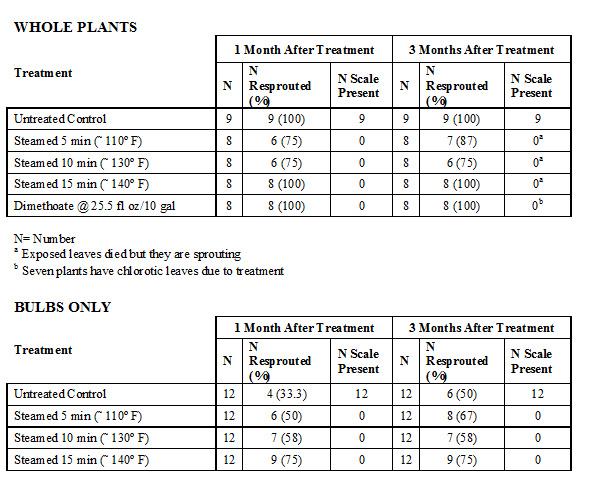 Table1 cycad steam treatment data