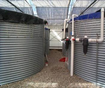 Before water is re-used on greenhouse crops in this nursery, it is heat-treated to reduce pathogens.These tanks store the heat-treated recycled water