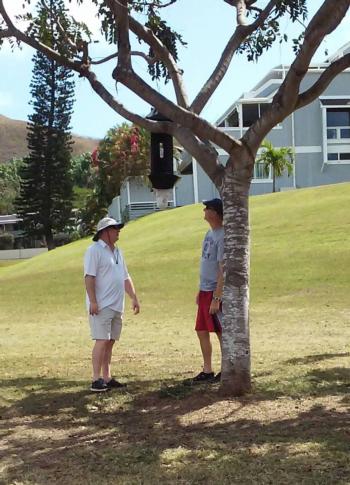 James A. Bethke and Research Associate Bryan Vander Mey inspecting one of the coconut rhinoceros beetle panel traps placed in trees on the island of O